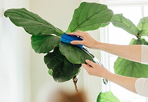 잊지 말고 봄맞이 청소를 해야 하는 일곱 가지