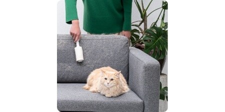 스카치-브라이트 보풀 롤러를 사용하여 소파에 있는 고양이 털을 제거하세요.
